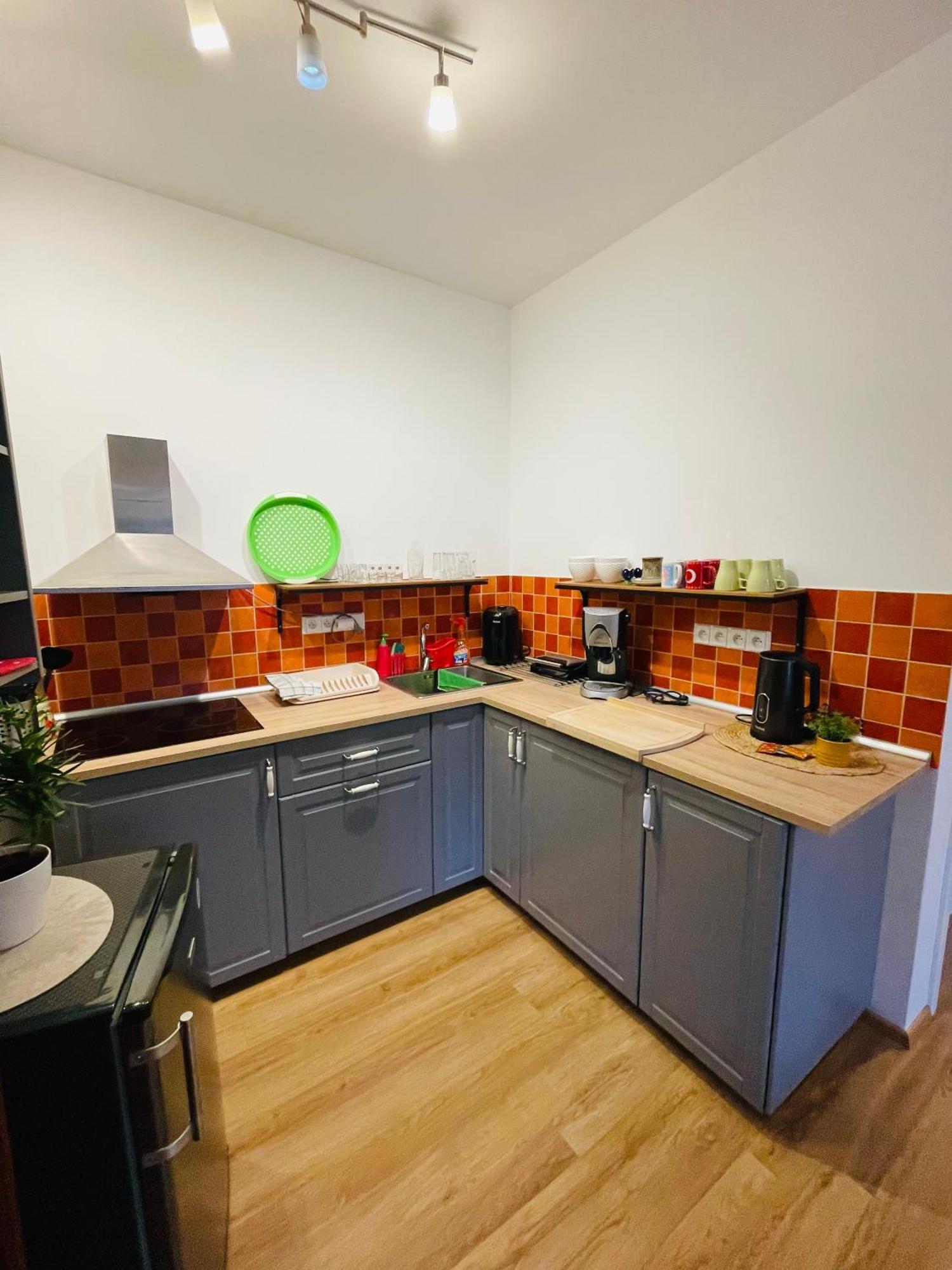 Apartman U Splavu Teplice nad Metují Buitenkant foto